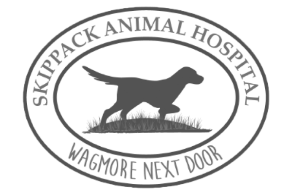 skippack-animal-hospital-logo-socializon-client